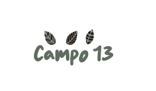 014-campo13