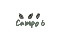019-campo6