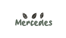 021-mercedes